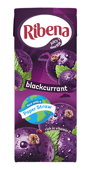 Ribena Cartons - Blackcurrant