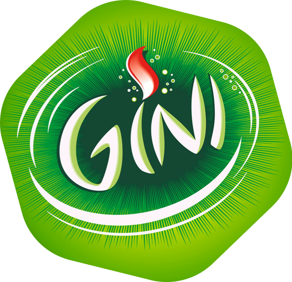 gini Logo