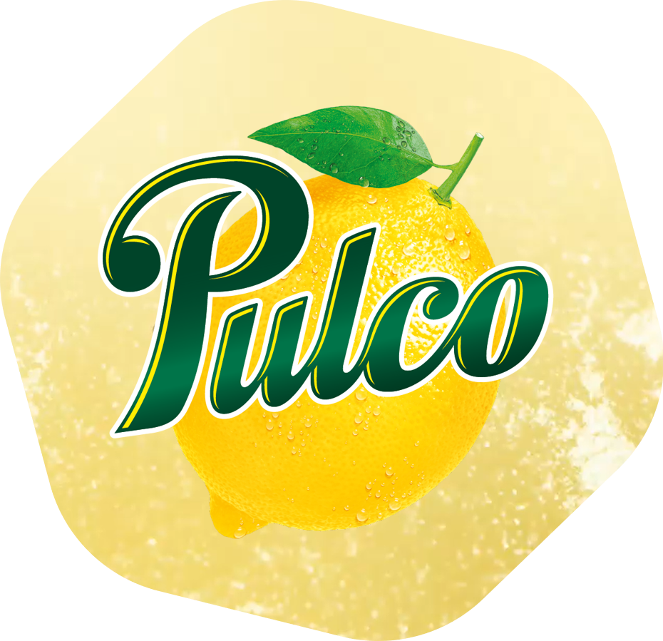 Pulco Logo