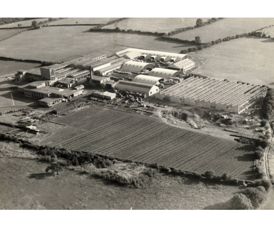 Home of Lucozade and Ribena celebrates 80 years of British manufacturing