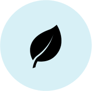 Infusion de feuilles de thé certifiées RFA