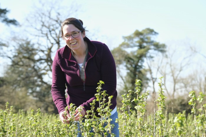 Suntory Beverage and Food GB&I invests £920,000 into Ribena berry resilience
