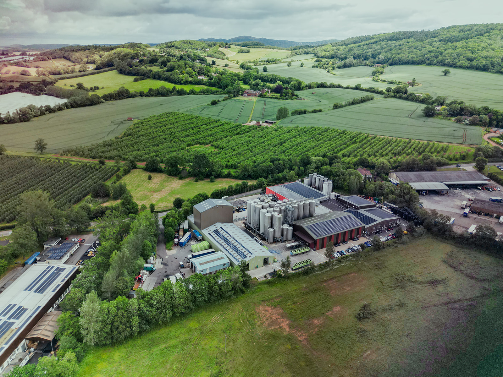 Suntory Beverage & Food GB&I invests £14.5m in next-generation blackcurrant facility to strengthen UK supply chain