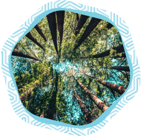 Growing for Good