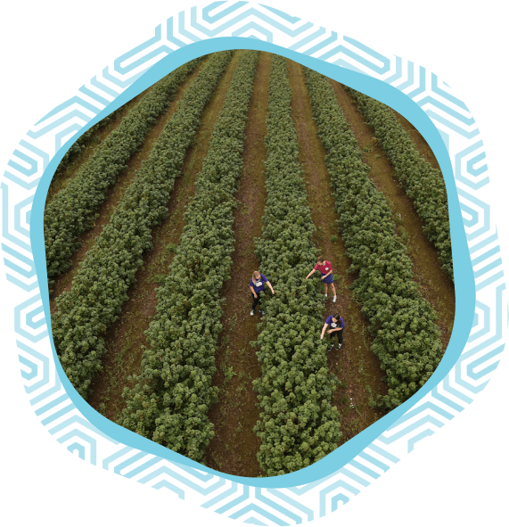 Growing for Good