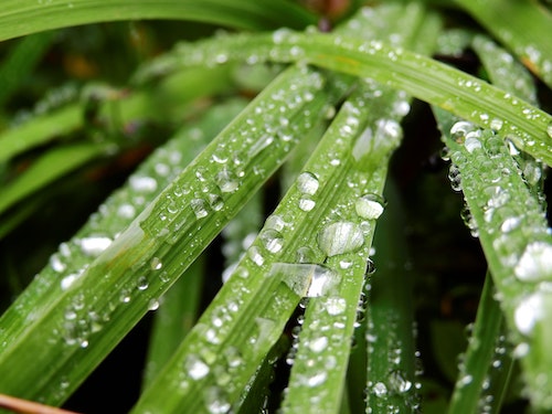 SUNTORY REFUERZA SUS COMPROMISOS CON EL AGUA PARA 2030