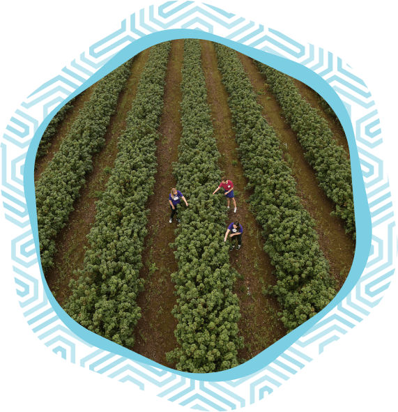 Growing for Good