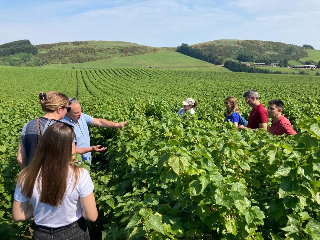 Quand le Gemba* mène au cœur de l’Ecosse pour découvrir les pratiques d'agriculture régénératrice mises en place par Suntory avec ses producteurs de cassis.
